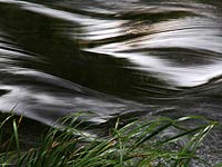 c0143338_12191049.jpg