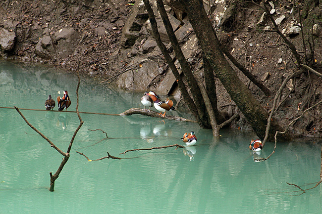 e0066638_2202571.jpg