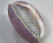 e0087939_2034120.jpg