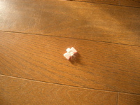 f0110840_9113332.jpg
