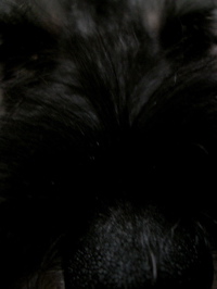 f0110840_972680.jpg