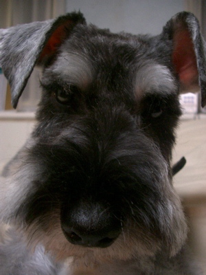 f0110840_983833.jpg