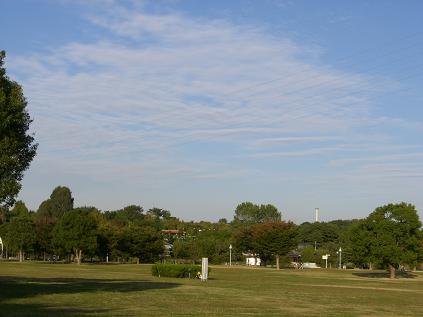 c0113146_2311760.jpg