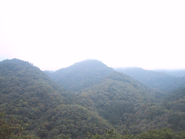 f0046250_1113342.jpg