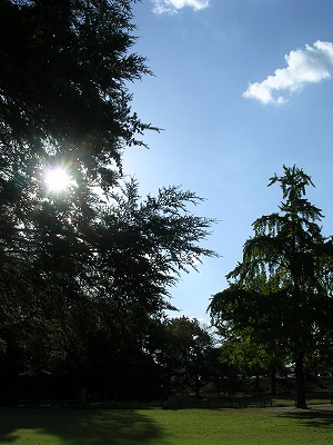 b0120159_2255433.jpg