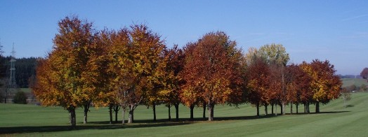 b0091164_17141535.jpg