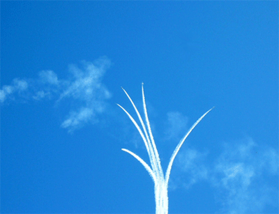 f0090964_011929.gif