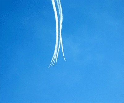 f0090964_085250.gif