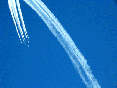 f0090964_1211773.gif