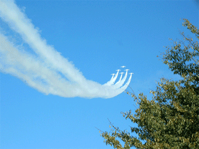 f0090964_122569.gif