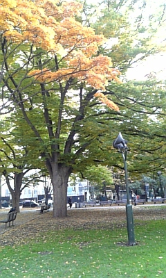 d0041268_17155339.jpg