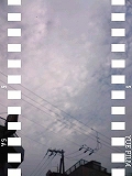 e0081772_9552967.jpg
