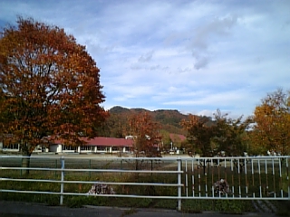 c0061774_23483832.jpg