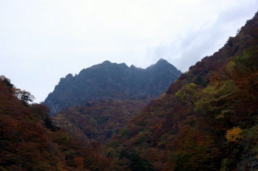 f0054075_23142984.jpg