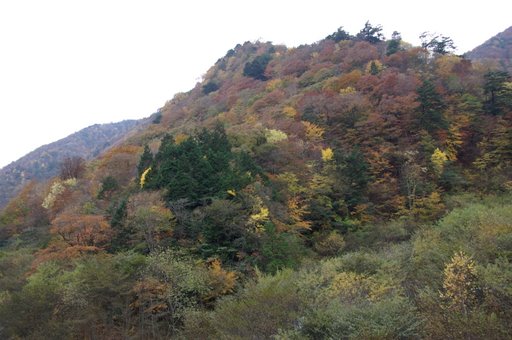 f0054075_2315254.jpg