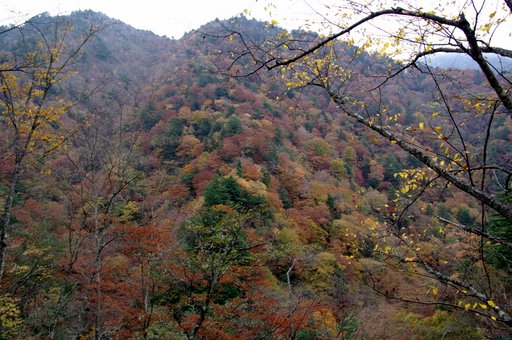 f0054075_2330407.jpg