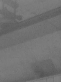 f0100480_19395374.jpg