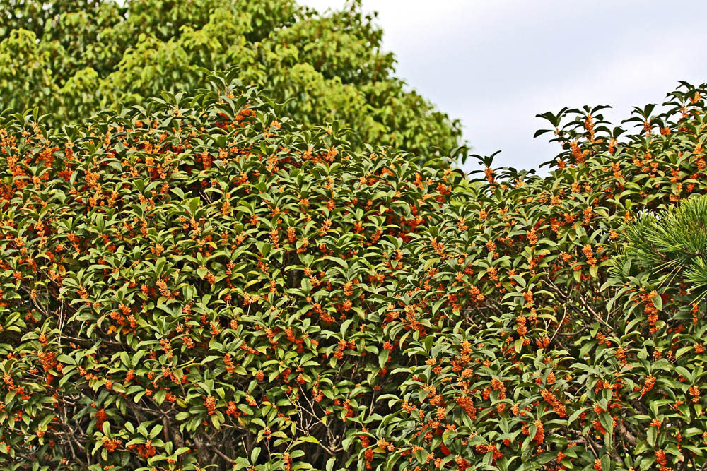a0083081_15543812.jpg