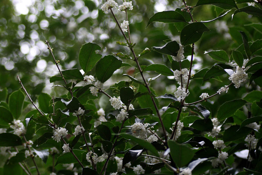 a0083081_155601.jpg