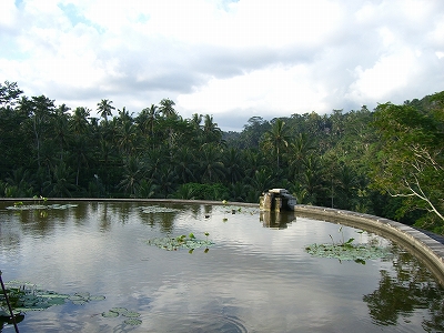 b0101284_22452618.jpg