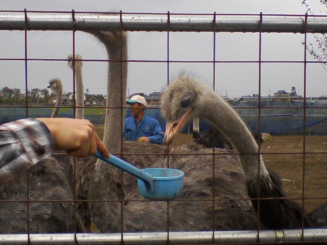 c0070086_17164038.jpg