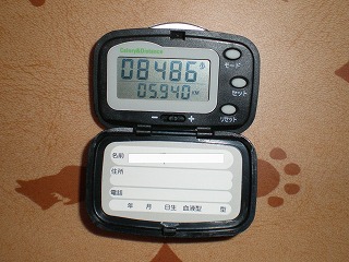 e0123587_16411951.jpg
