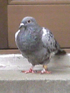 c0123890_21312137.jpg