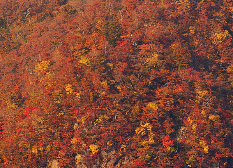 c0138991_23234474.jpg