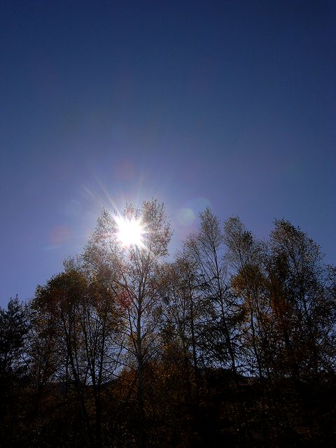 a0093592_2341595.jpg