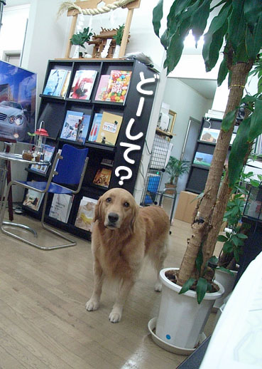 c0096393_2314426.jpg