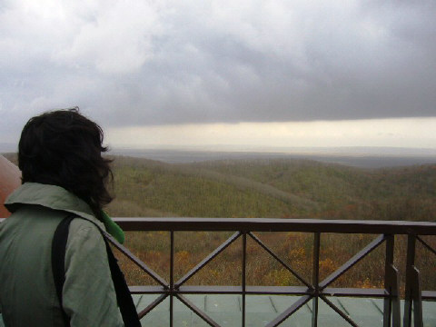 f0029393_1926132.jpg