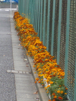 f0130894_2012922.jpg