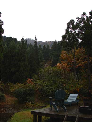 a0061599_750937.jpg