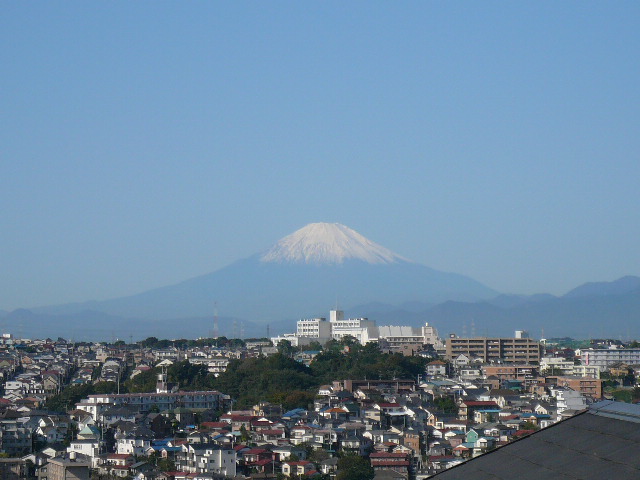 e0028401_2591743.jpg