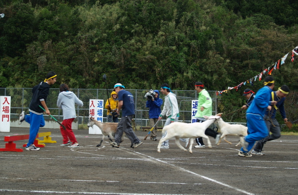 e0089001_20542293.jpg