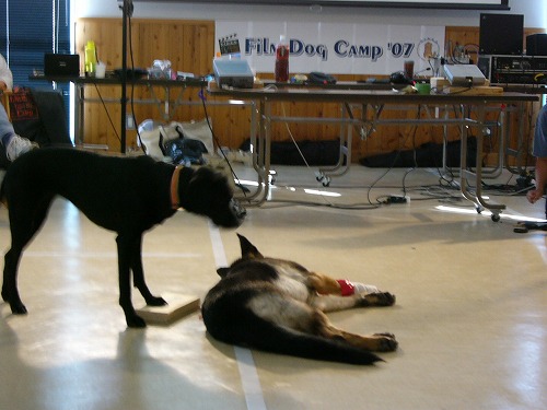 a0032004_18502444.jpg