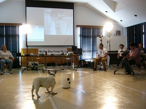 a0032004_2010141.jpg