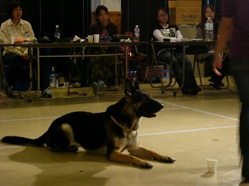 a0032004_203743.jpg