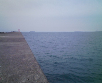d0078105_1159550.jpg