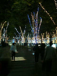 f0127408_22453679.jpg