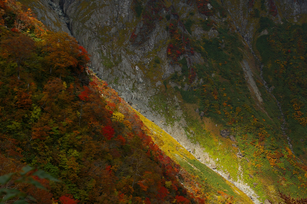 b0062024_19405140.jpg