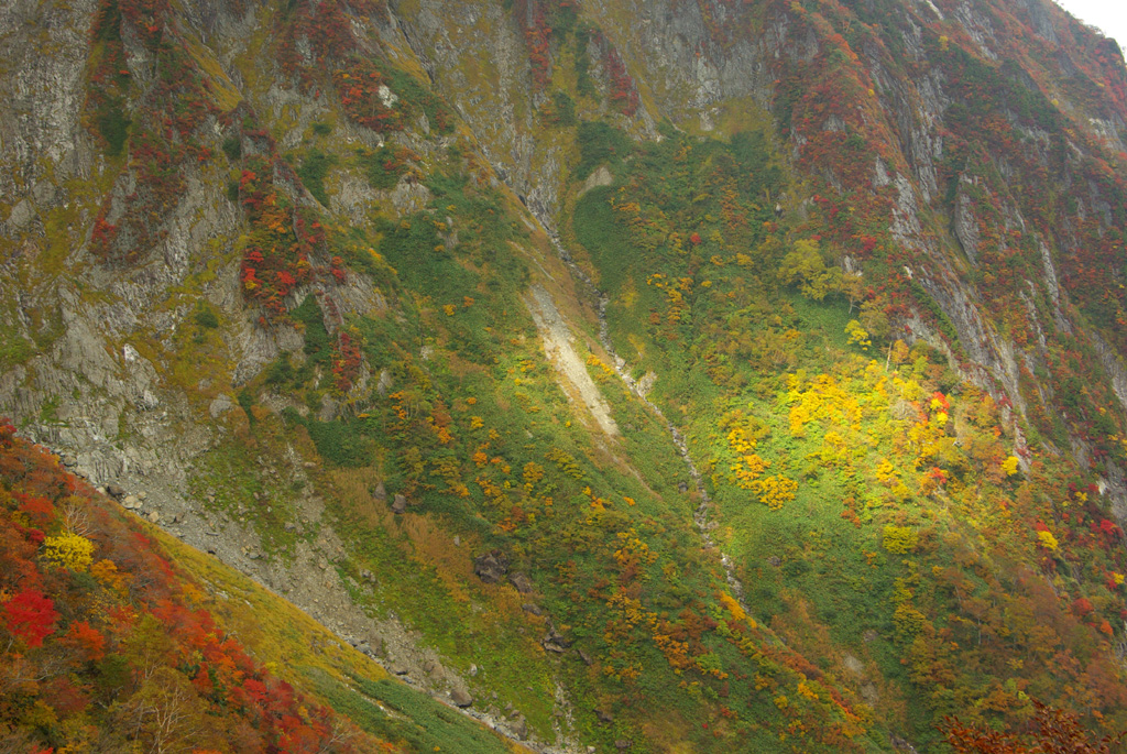 b0062024_19445864.jpg