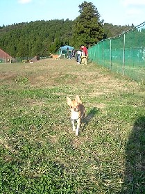 f0022024_2058086.jpg