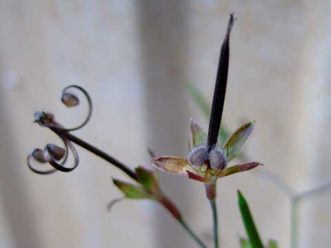 f0147025_16461537.jpg