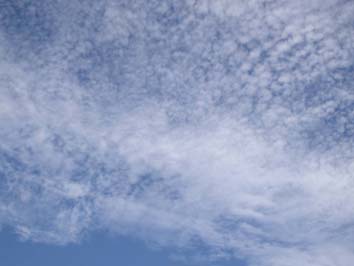 f0129726_21531523.jpg