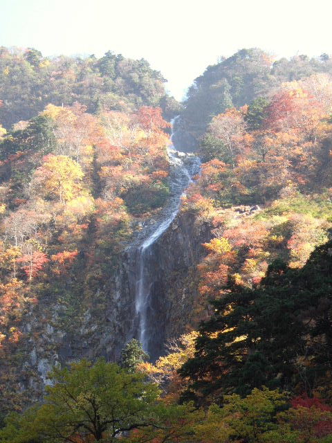 e0064133_024435.jpg
