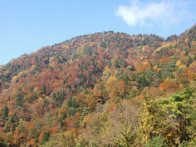 e0064133_0255099.jpg