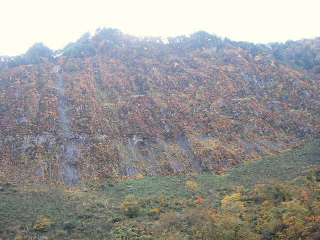 e0064133_02920100.jpg
