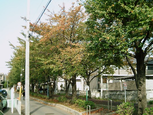 e0091334_20253748.jpg