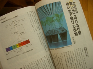 c0025140_1964285.jpg
